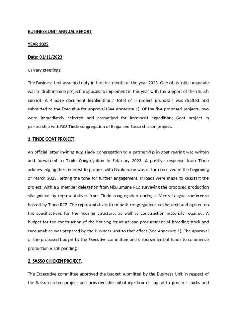 2023 Business Unit Annual Report | PDF | Economies