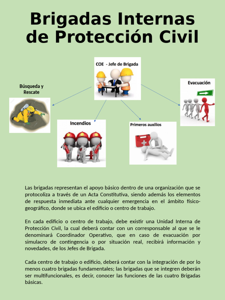 Brigadas Internas de Protección Civil | PDF | Defensa Civil | Primeros ...