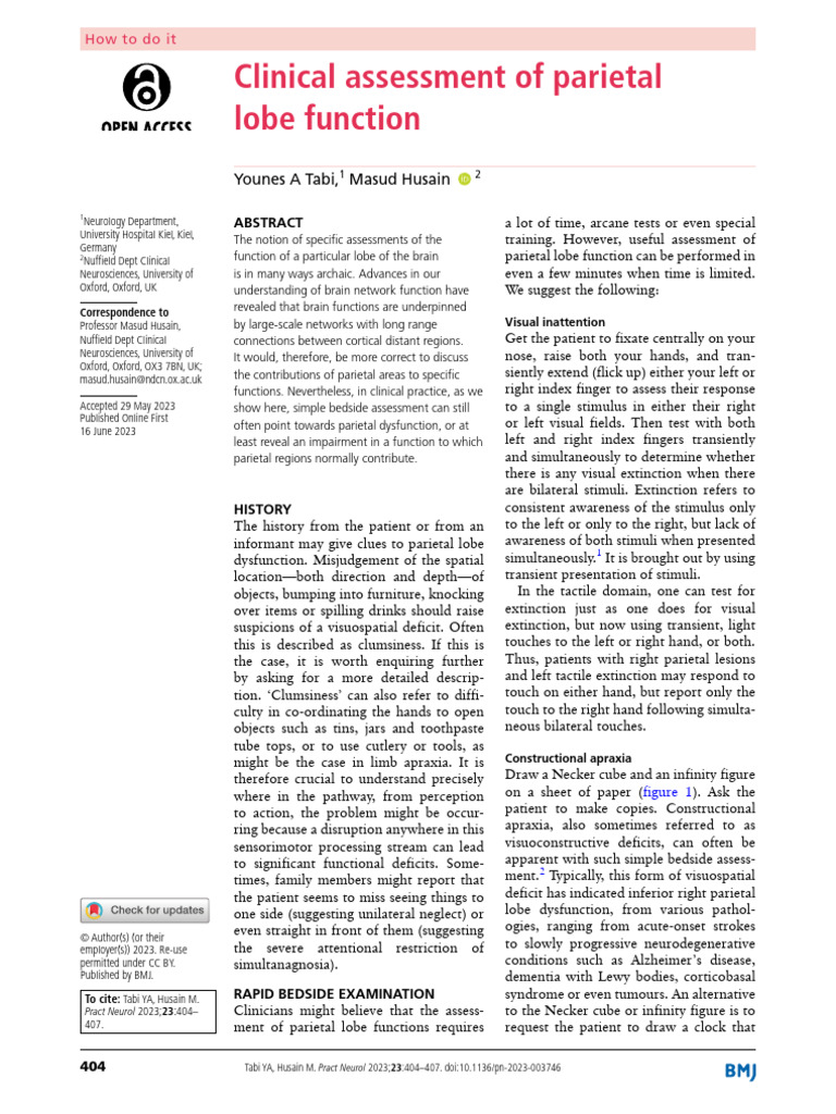 Parietal Lobe Function Assessment Guide | PDF | Parietal Lobe ...