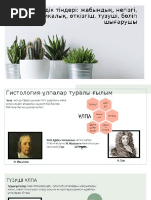 Сиськи дірілдеген кезде