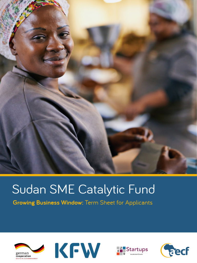 Growing Business Window Sudan Termsheet | PDF | Small And Medium Sized ...