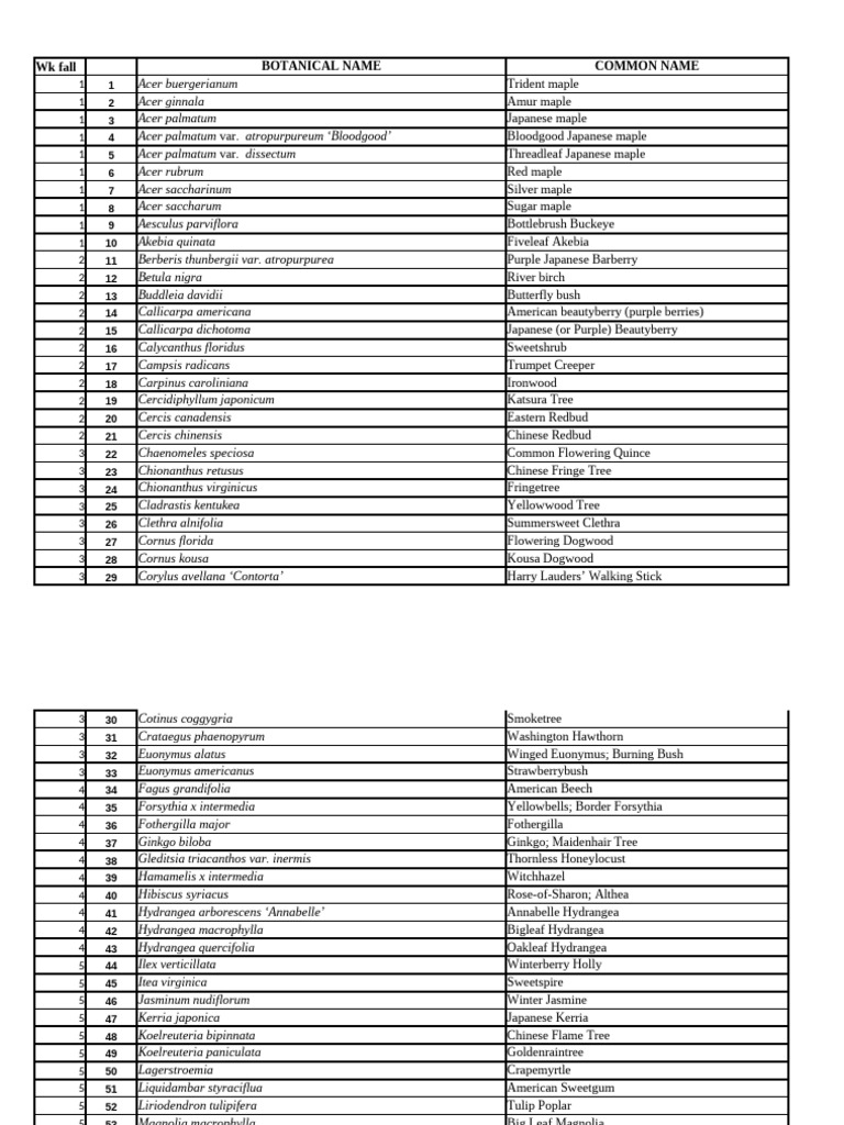 Spring 17 Plant List New | PDF | Maple | Trees