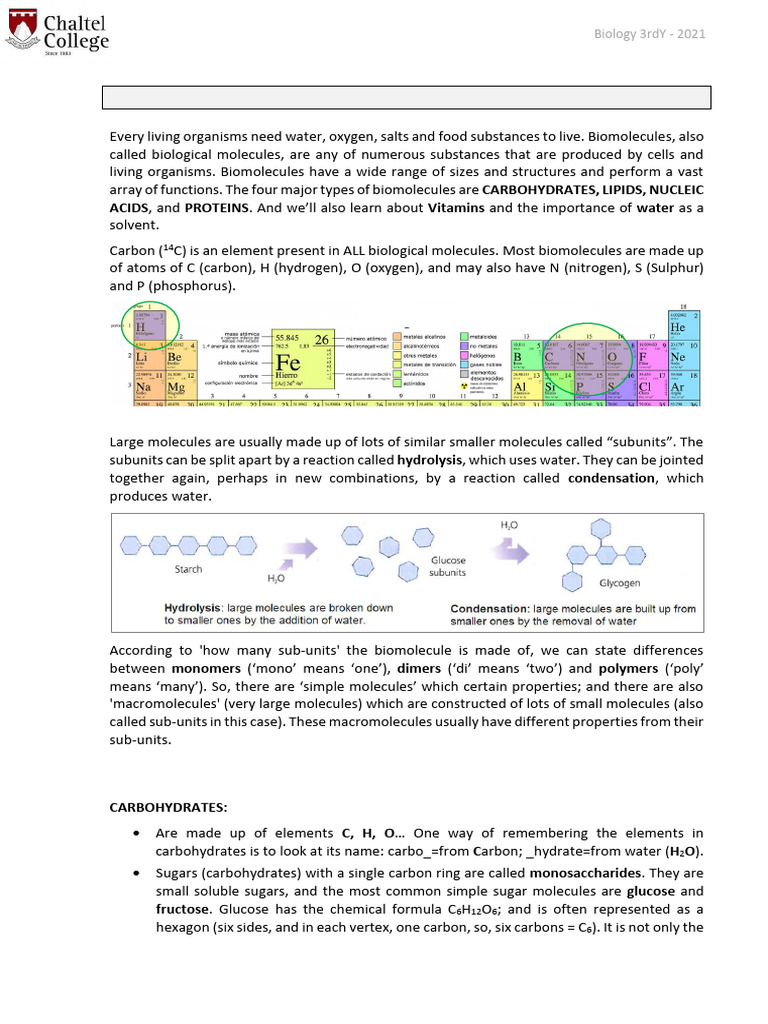 Understanding Biological Molecules | PDF | Carbohydrates | Biomolecules