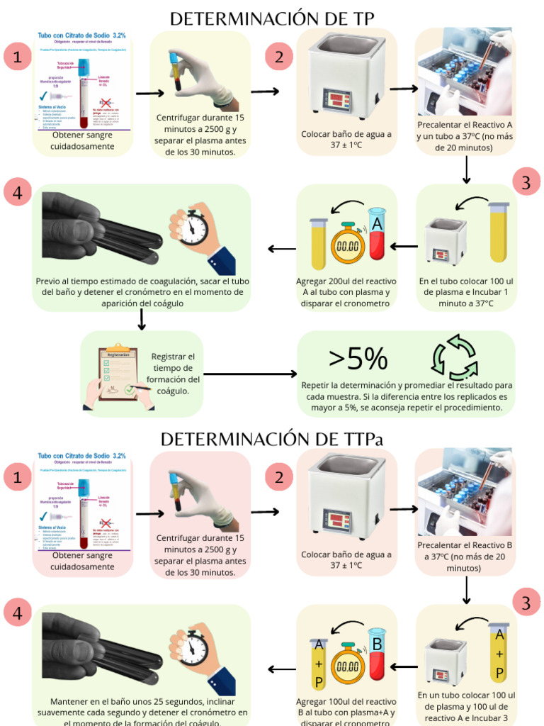 Diferencias entre TP y TTPA en Coagulación | PDF | Sangre | Vertebrados