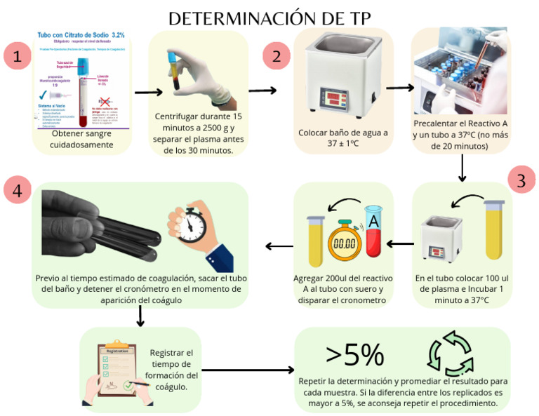 TP FLOW | PDF
