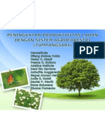 45301221 Peningkatan Produktifitas Lahan Dengan System Agroforestri Tumpangsari(1)