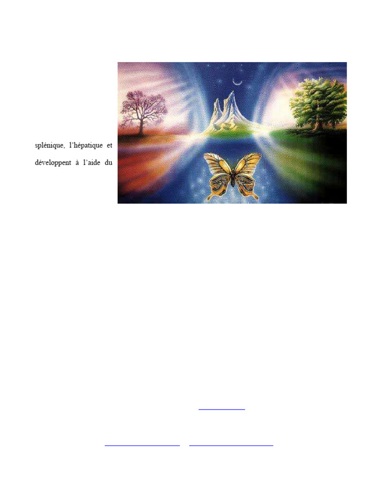 Éveil des Chakras avec le Mantra FÉ-UIN-DAGT | PDF
