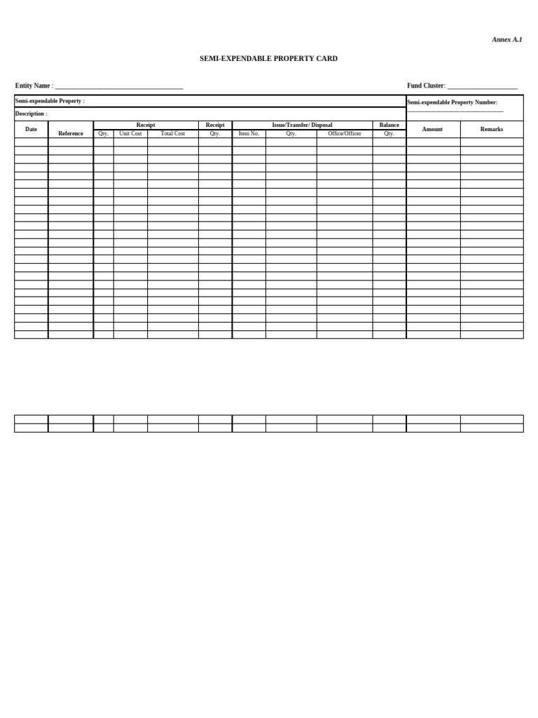 Property Form Annex A.1 Semi Expendable Property Card | PDF