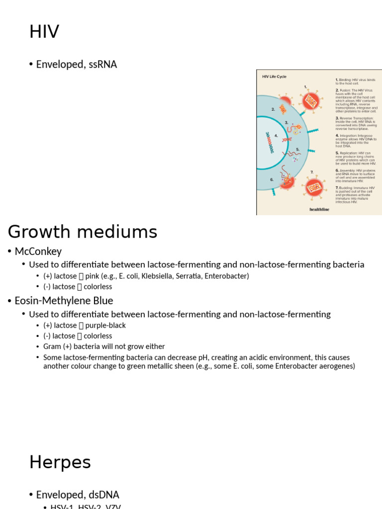 Bacterial and Viral Pathogens Overview | PDF