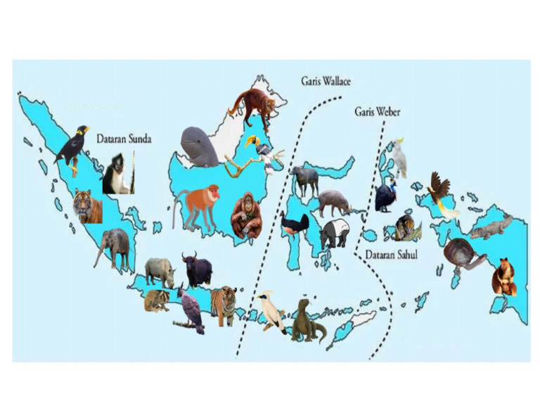 Peta Persebaran Flora Fauna Pdf