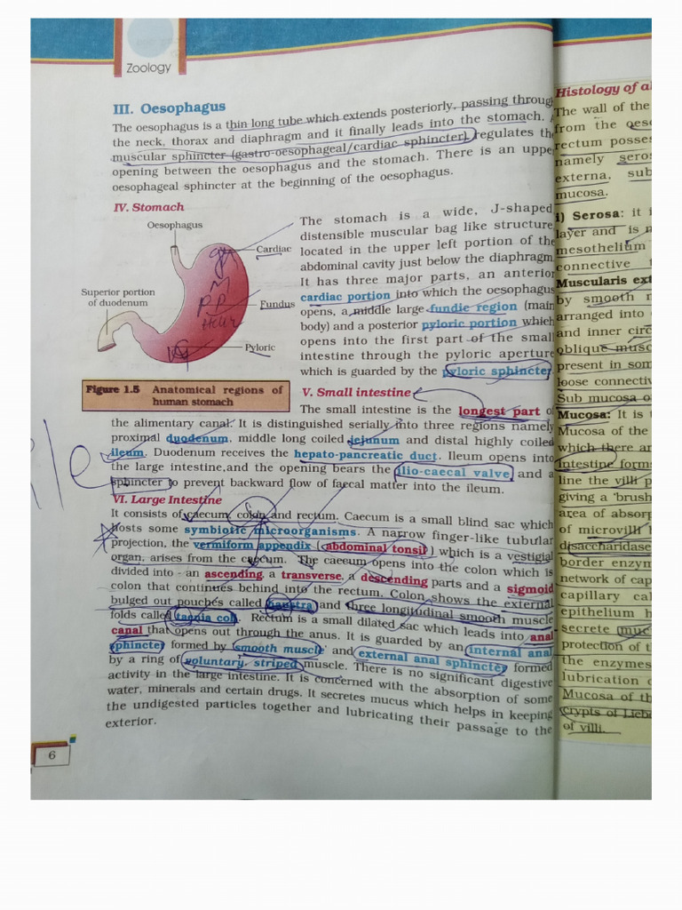 Notes 250507 095536 | PDF