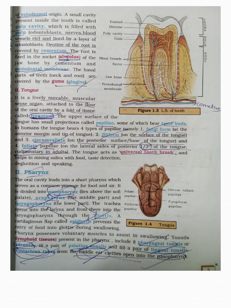 Notes 250507 095449 | PDF