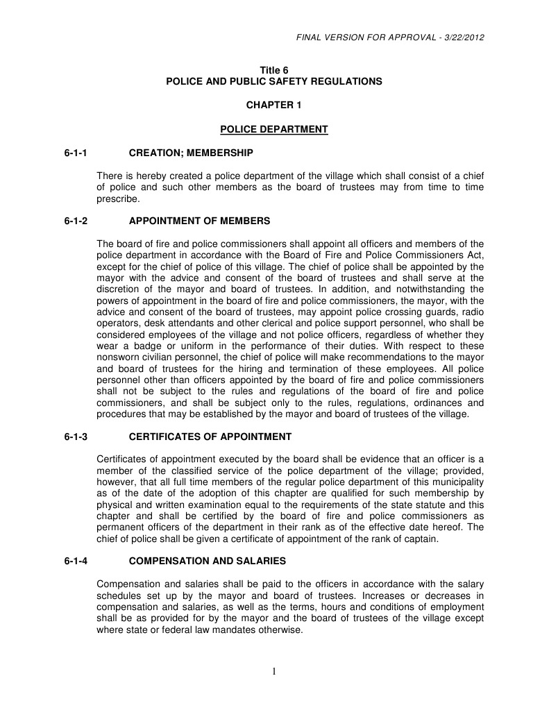 Police Department Regulations Overview | PDF | Fireworks | Battery (Crime)