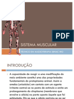 Sistema muscular