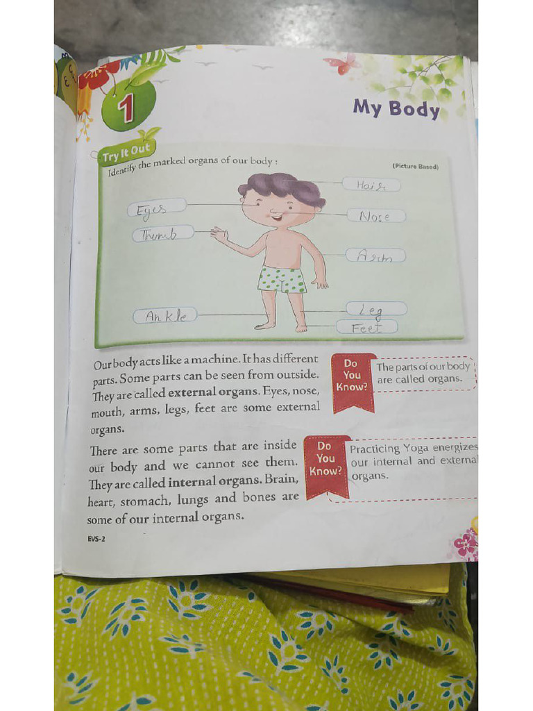 Evs All Book Work | PDF