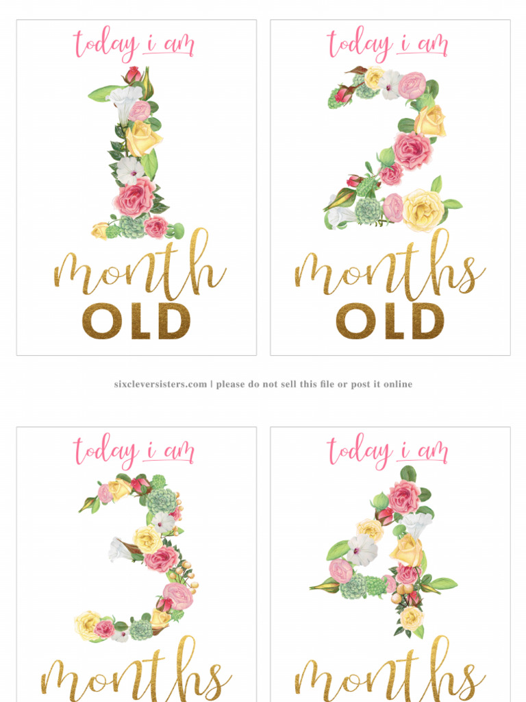 Month Signs For Babies FLORAL | PDF