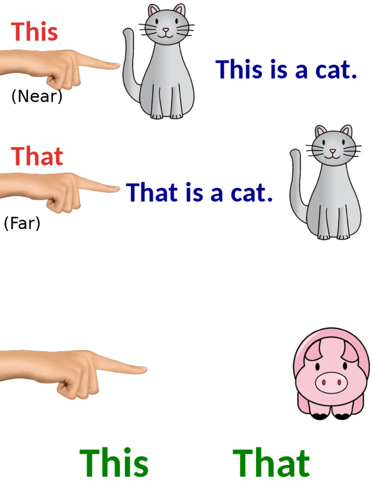 Grammar DemonstrativeAdjAnimals | PDF