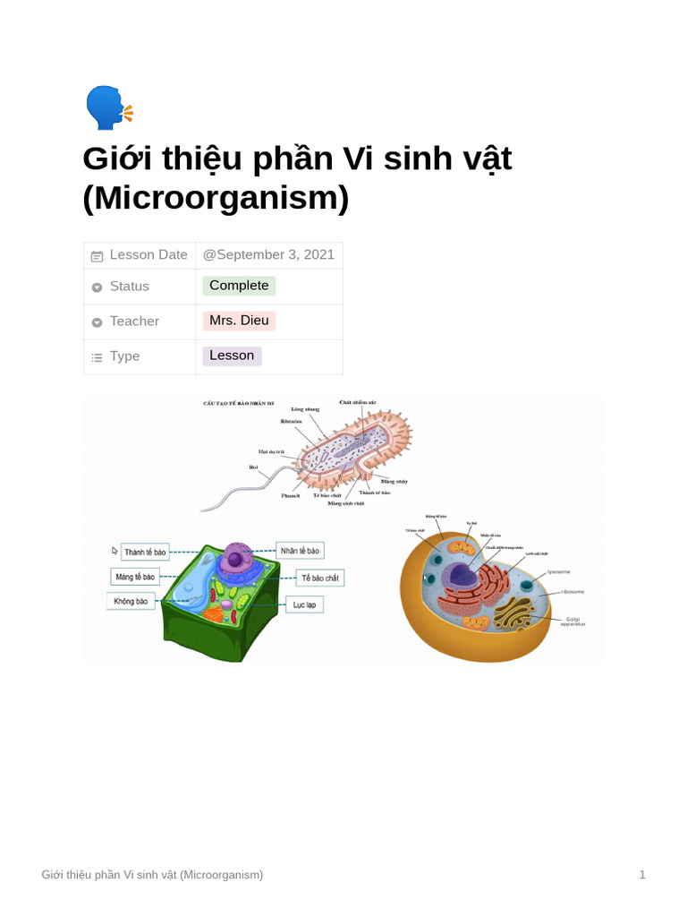 Giới Thiệu Phần Vi Sinh Vật (Microorganism) | PDF