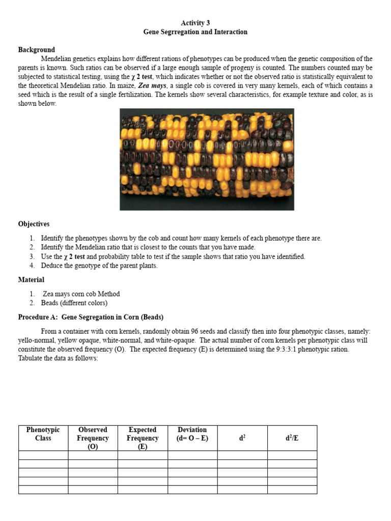 3 Gene Segration and Interaction | PDF | Genotype | Dominance (Genetics)