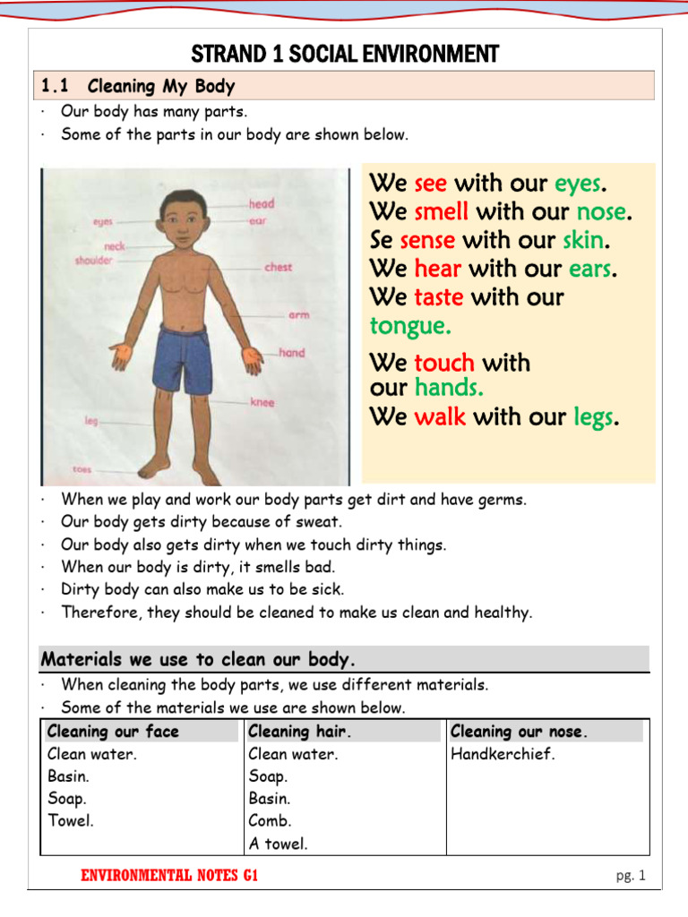 Cleaning and Hygiene for Grade 1 | PDF | Oral Hygiene | Hygiene