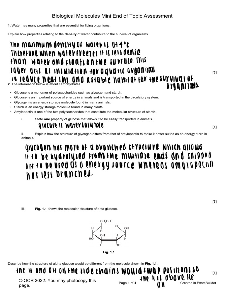 Biological Molecules Mini Questions Assessment | PDF