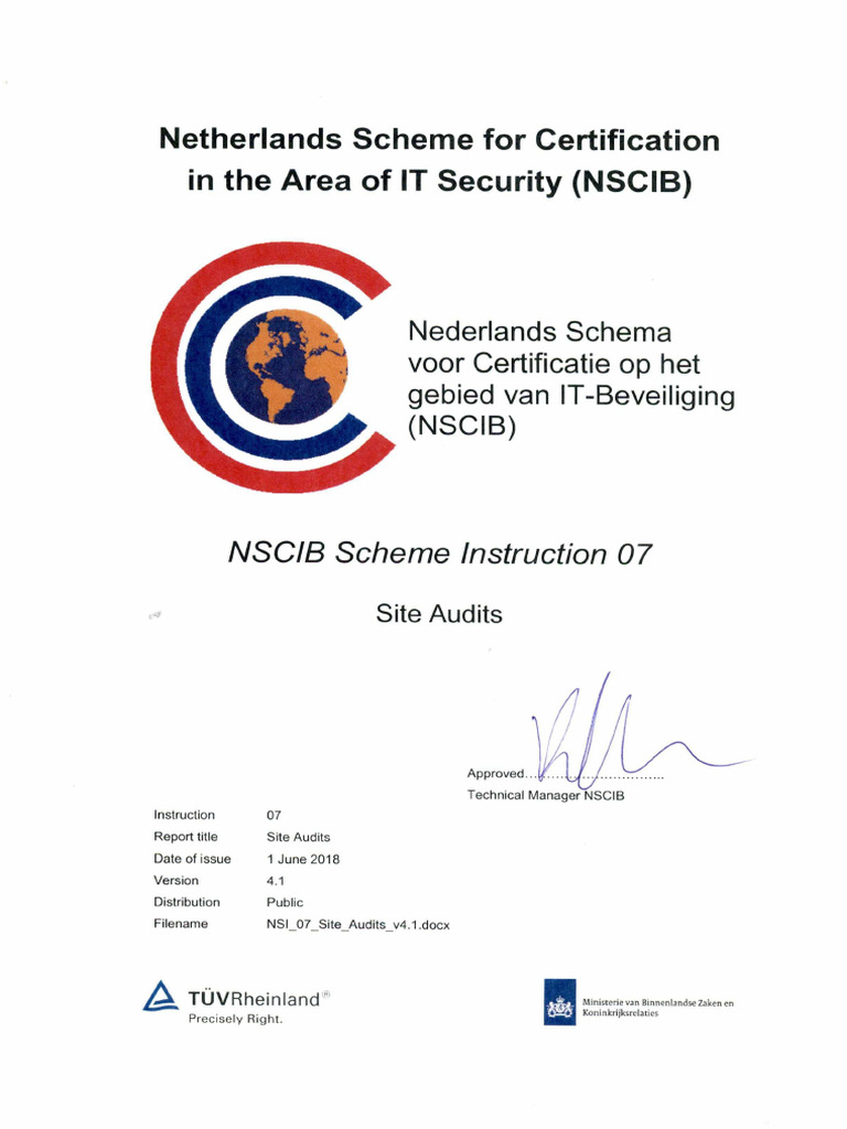 Nsi 07 Site Audits v4.1 | PDF | Audit | Business