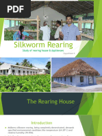 Sarlahi District Overview and Statistics | PDF