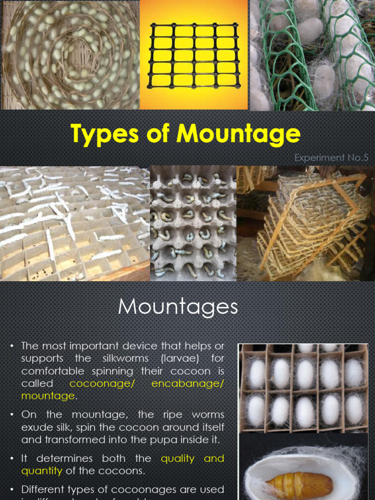 Types of Mountages in Sericulture | PDF | Silk | Pupa