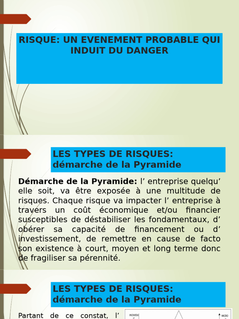 Types de Risques en Entreprise : Guide Complet | PDF | Risque | Business