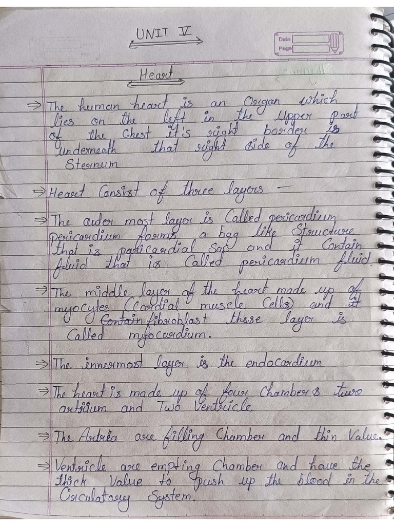 HAP I Unit 5 | PDF