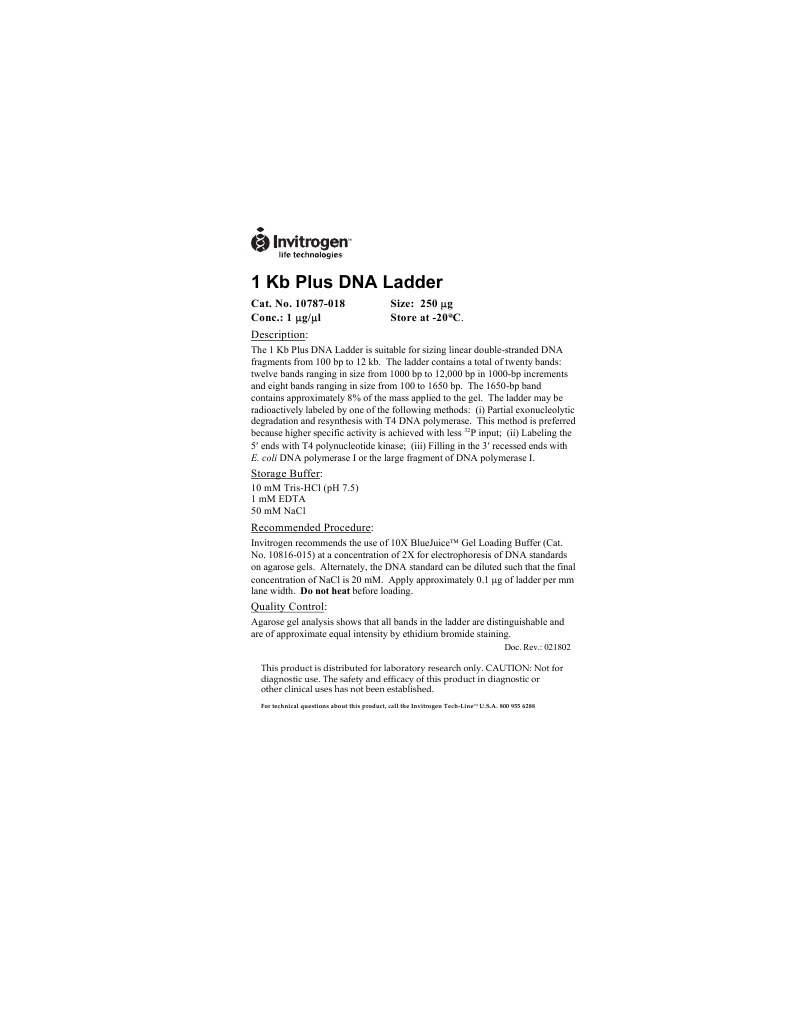 1kb Plus Ladder | PDF | Agarose Gel Electrophoresis | Gel Electrophoresis