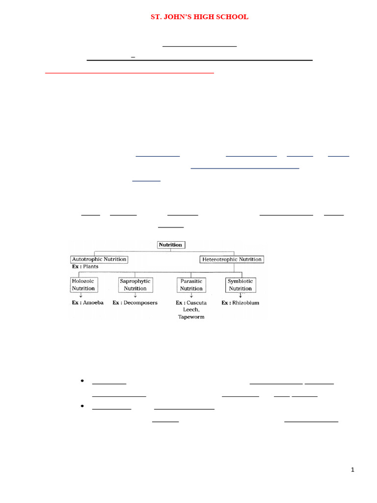 Autotrophic vs Heterotrophic Nutrition | PDF | Stoma | Nutrition
