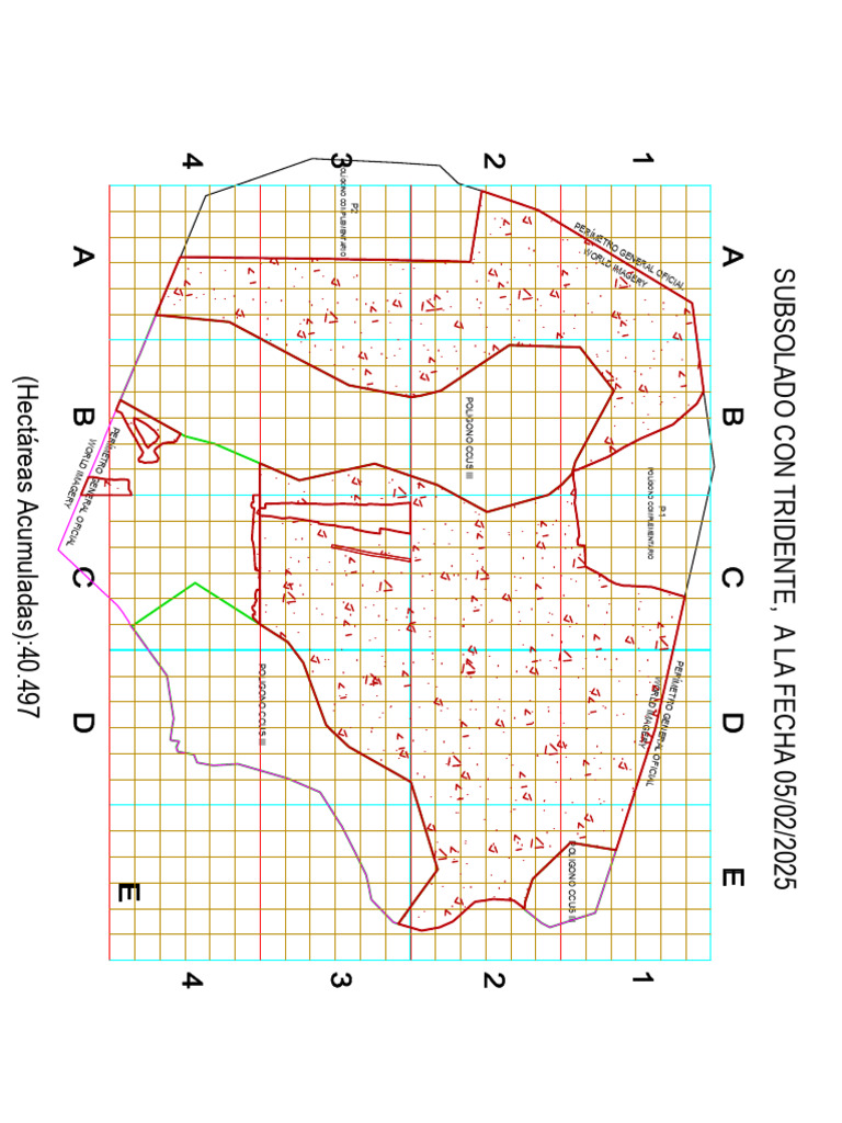 Subsolado 05.02.2025 | PDF