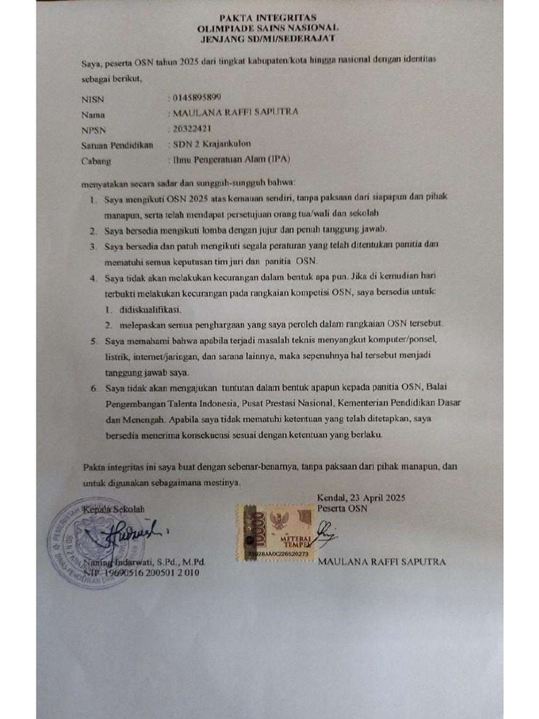 PA Raffi | PDF