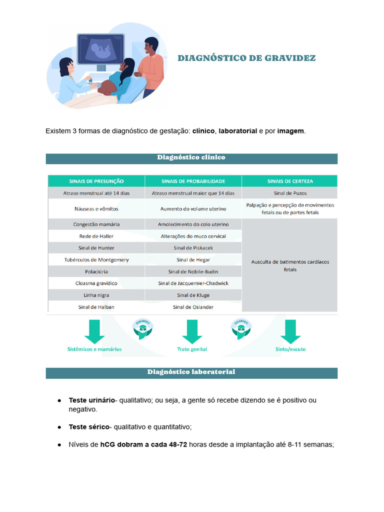 Diagnóstico de Gravidez: Métodos e Tipos | PDF