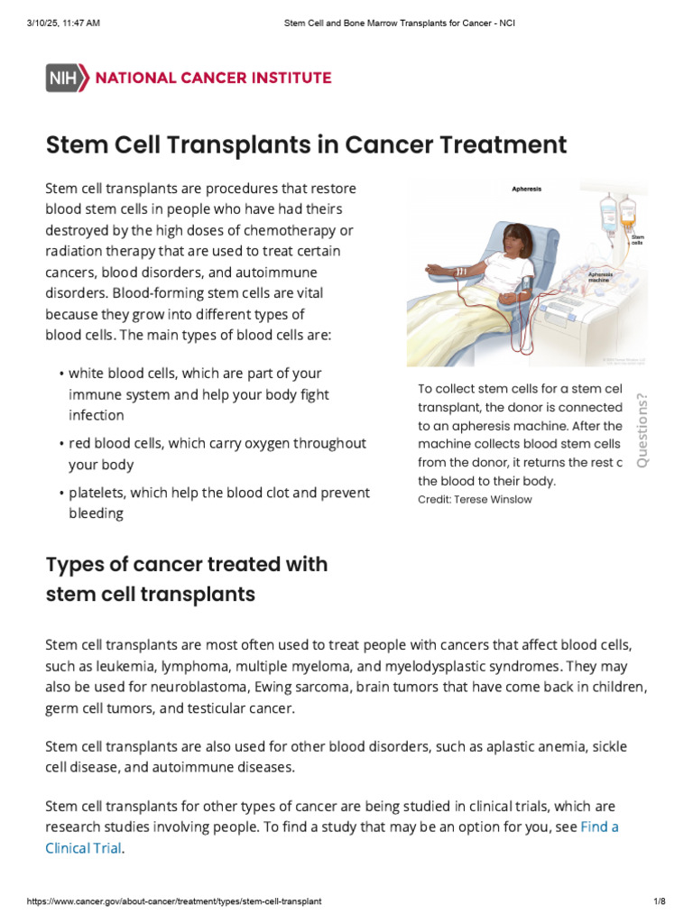 Stem Cell and Bone Marrow Transplants For Cancer - NCI | PDF ...