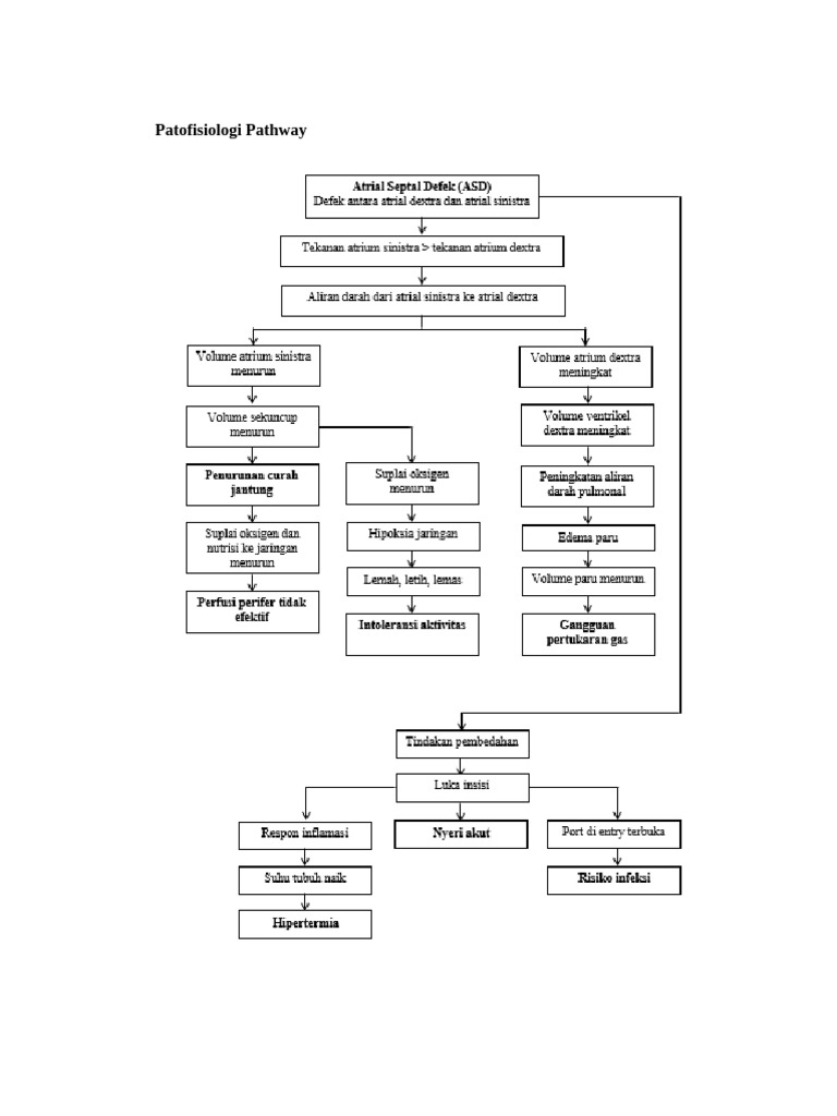 Patofisiologi Pathway | PDF