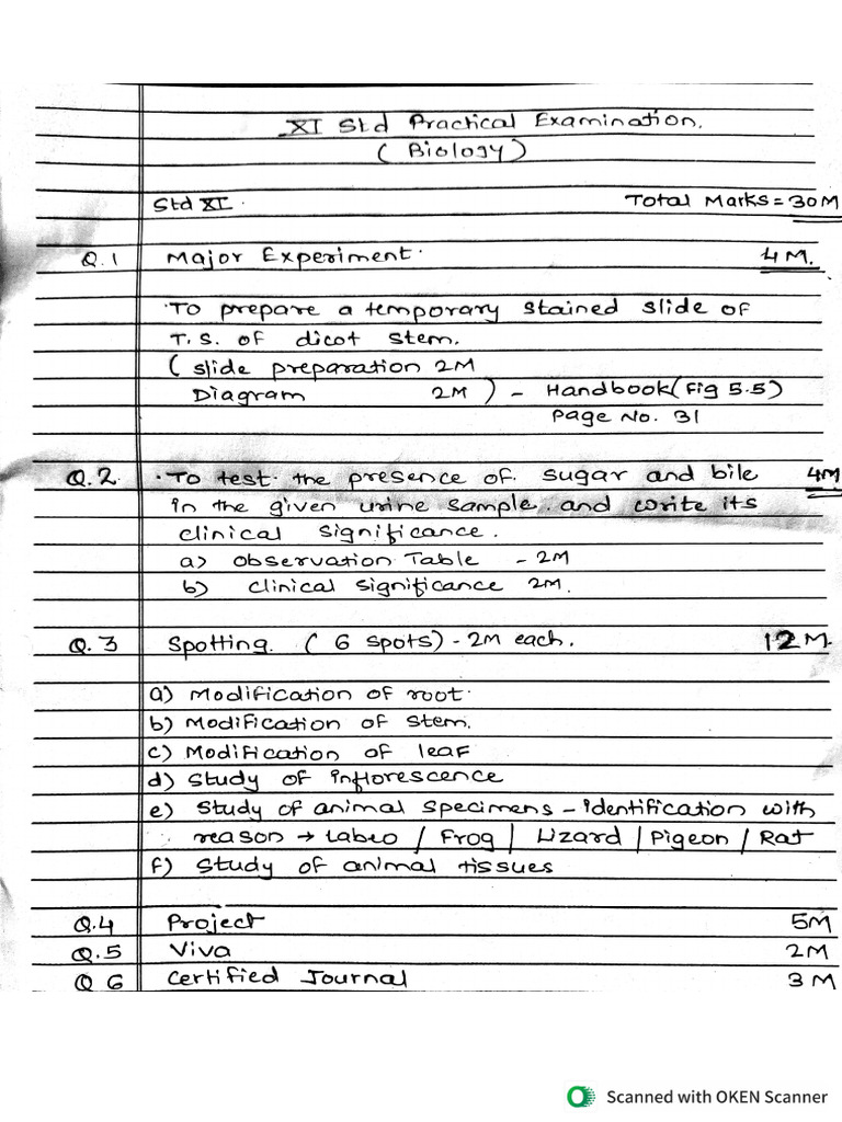 11th Practical Exam Question Paper Format | PDF