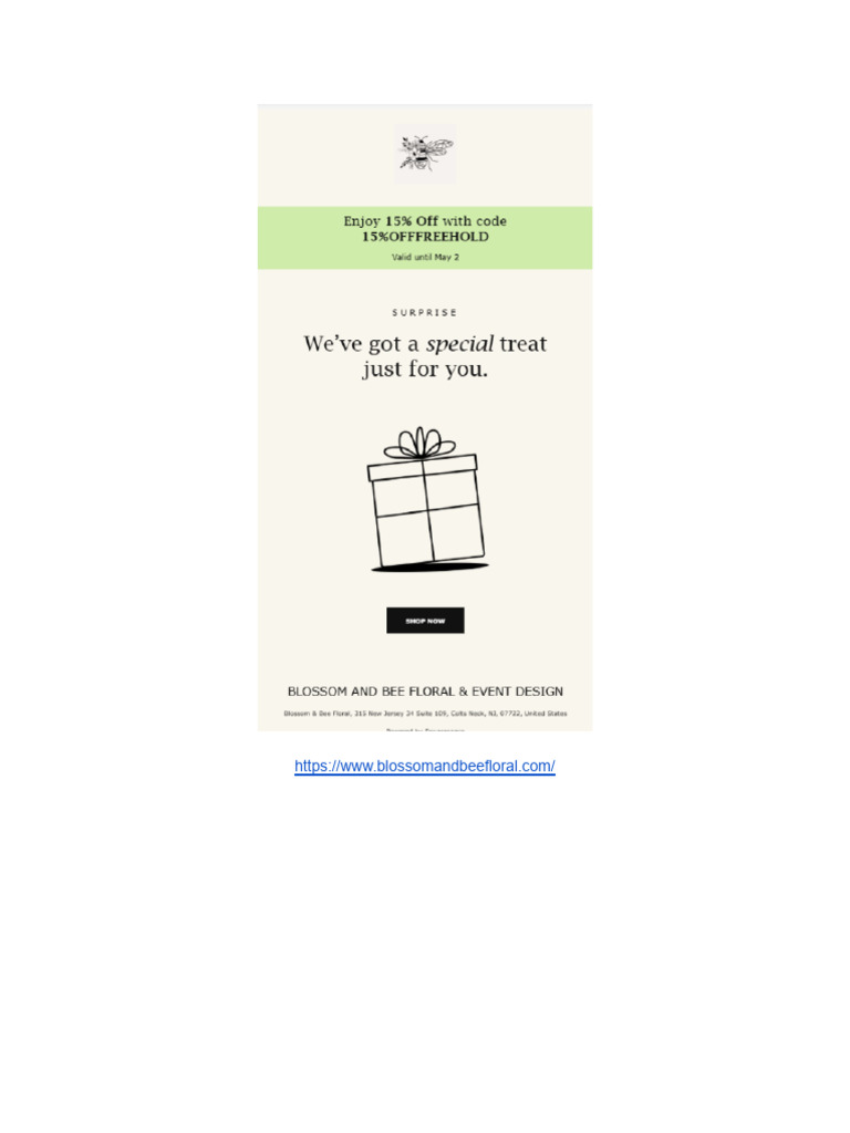 Blossom Discount Prom | PDF