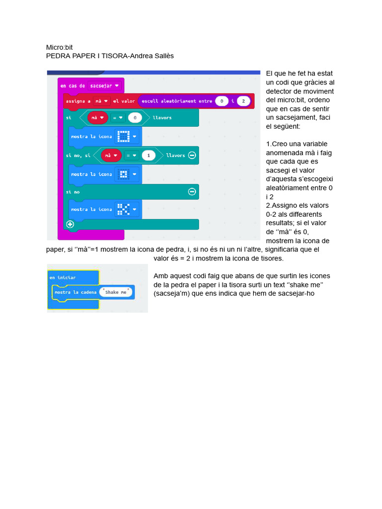 Micro - Bit PEDRA PAPER TISORA ANDREA SALLÈS | PDF