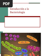 Estructura y Función de Flagelos en Procariotas | PDF | Las bacterias ...