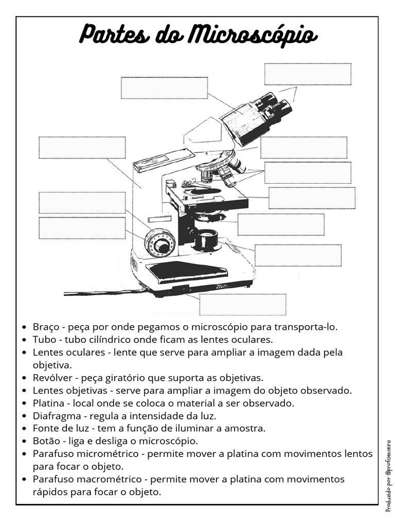 Partes e Funções do Microscópio | PDF