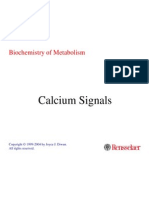 Calcium Signals: Biochemistry of Metabolism