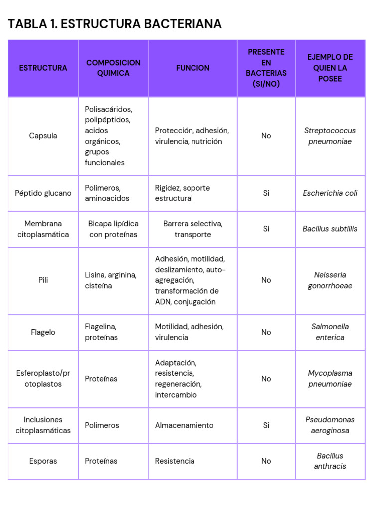 Estructura y Función de Bacterias | PDF | Las bacterias | Pared celular
