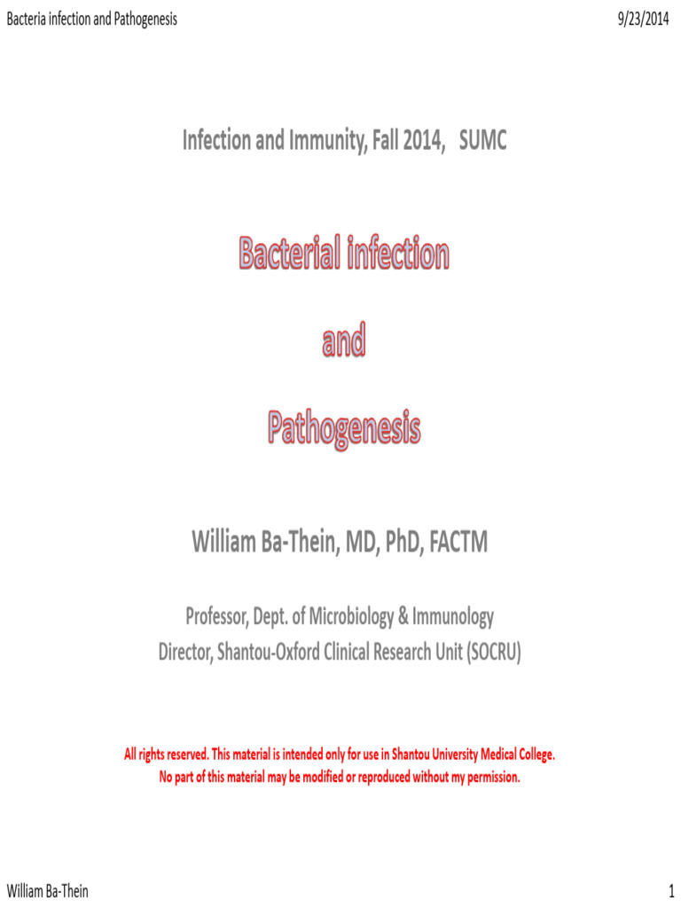 Bacterial Pathogenesis and Colonization | PDF | Lipopolysaccharide ...