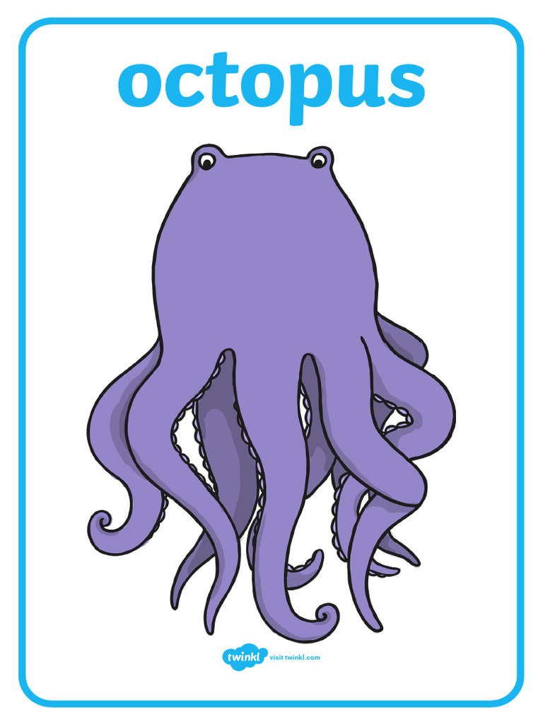 Octopus Rainbow Fish | PDF