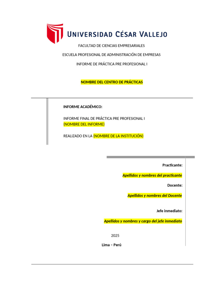 Informe de Práctica Pre Profesional I | PDF | Business | Planificación ...