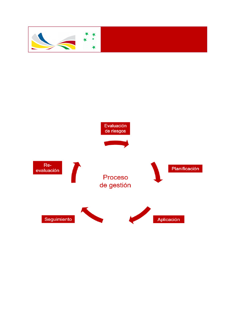Modelo Regional de Prevención RPS laborales | PDF | Organización ...