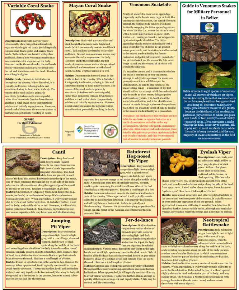 Venomous Snakes in Belize: A Guide | PDF | Snake | Venomous Snakes