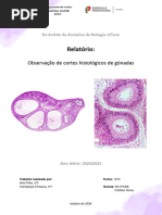 Estrutura das Gônadas Masculinas e Femininas | PDF | Reprodução sexual ...